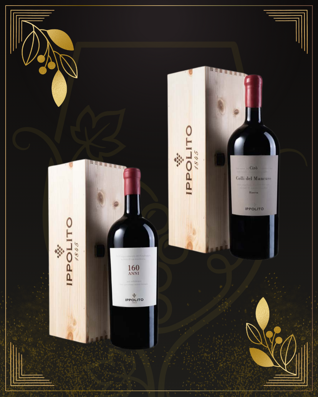 Ippolito 1845 Red Wine Magnum